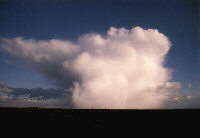 Кучево-дождевые облака (cumulonimbus) 